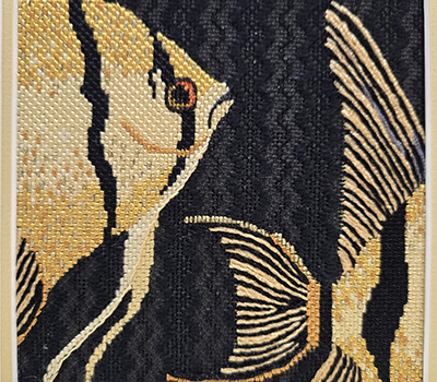 fish-1