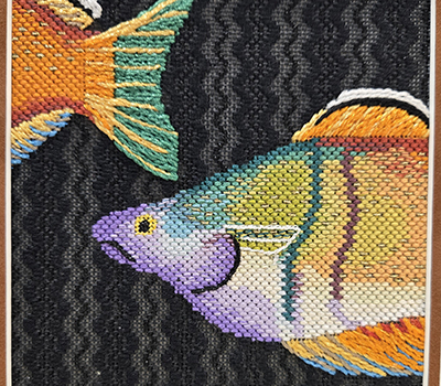 fish-3