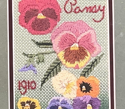 pansy